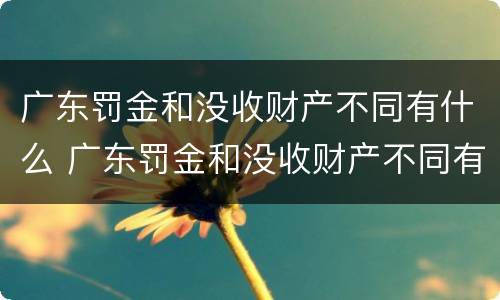 广东罚金和没收财产不同有什么 广东罚金和没收财产不同有什么后果