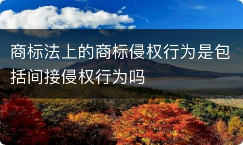 商标法上的商标侵权行为是包括间接侵权行为吗