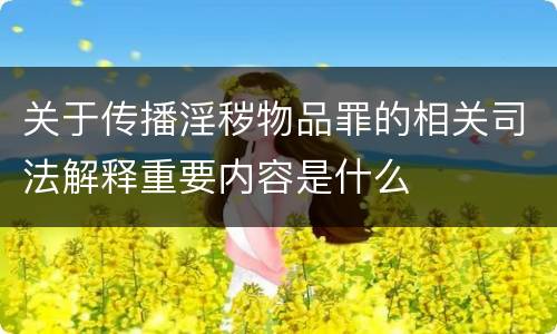 关于传播淫秽物品罪的相关司法解释重要内容是什么