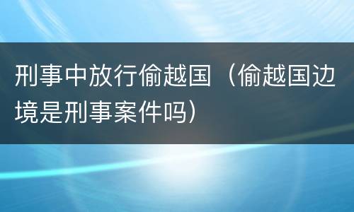 刑事中放行偷越国（偷越国边境是刑事案件吗）