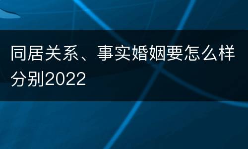 同居关系、事实婚姻要怎么样分别2022