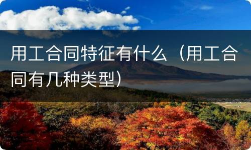 用工合同特征有什么（用工合同有几种类型）