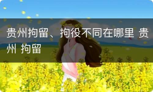 贵州拘留、拘役不同在哪里 贵州 拘留