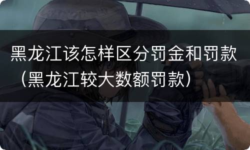 黑龙江该怎样区分罚金和罚款（黑龙江较大数额罚款）