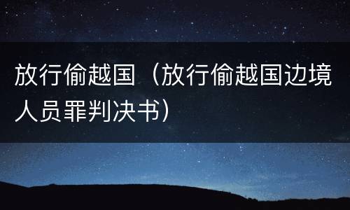 放行偷越国（放行偷越国边境人员罪判决书）