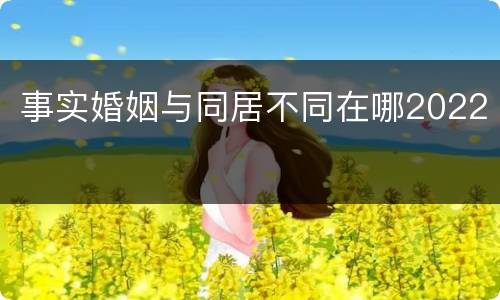 事实婚姻与同居不同在哪2022