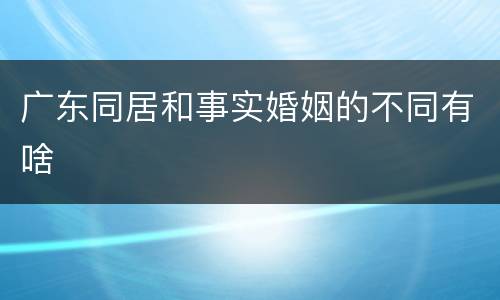 广东同居和事实婚姻的不同有啥