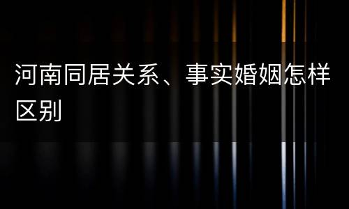 河南同居关系、事实婚姻怎样区别