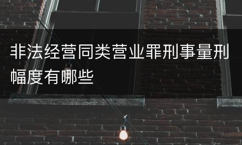 非法经营同类营业罪刑事量刑幅度有哪些