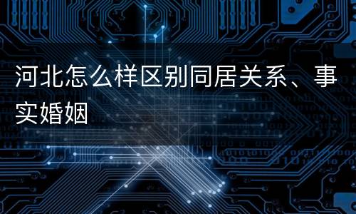 河北怎么样区别同居关系、事实婚姻