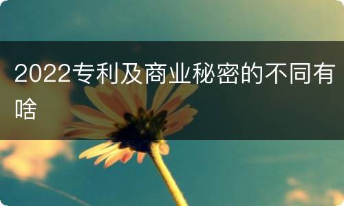2022专利及商业秘密的不同有啥