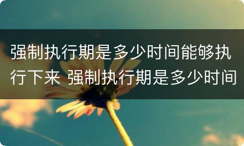 强制执行期是多少时间能够执行下来 强制执行期是多少时间能够执行下来呢