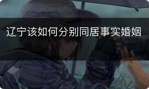 辽宁该如何分别同居事实婚姻