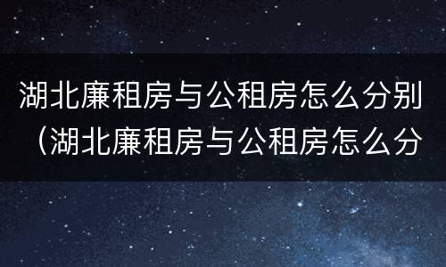 湖北廉租房与公租房怎么分别（湖北廉租房与公租房怎么分别的）