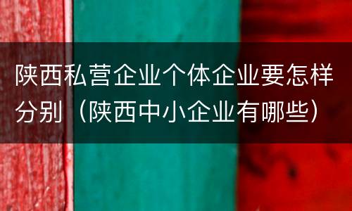 陕西私营企业个体企业要怎样分别（陕西中小企业有哪些）