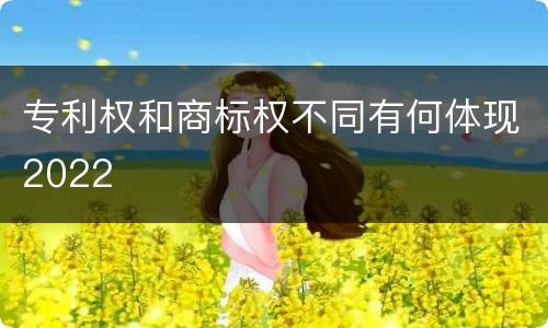 专利权和商标权不同有何体现2022