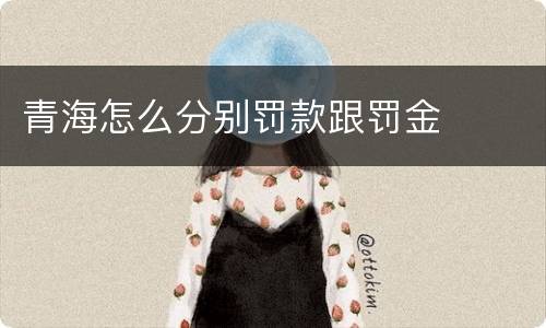 青海怎么分别罚款跟罚金