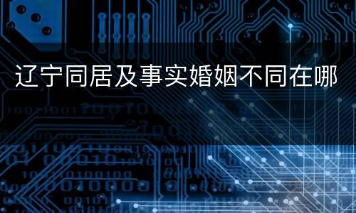 辽宁同居及事实婚姻不同在哪