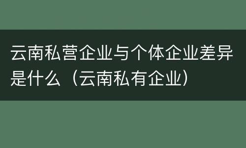 云南私营企业与个体企业差异是什么（云南私有企业）