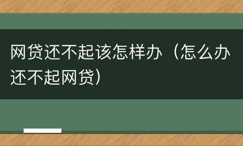 网贷还不起该怎样办（怎么办还不起网贷）