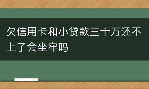 欠信用卡和小贷款三十万还不上了会坐牢吗