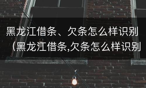 黑龙江借条、欠条怎么样识别（黑龙江借条,欠条怎么样识别）
