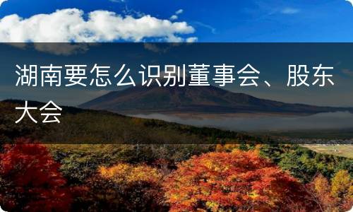 湖南要怎么识别董事会、股东大会