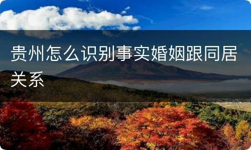 贵州怎么识别事实婚姻跟同居关系