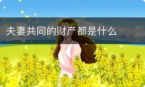 夫妻共同的财产都是什么