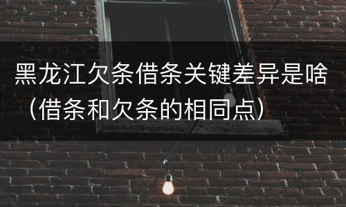 黑龙江欠条借条关键差异是啥（借条和欠条的相同点）