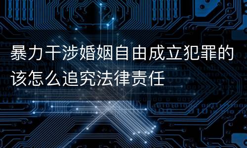 暴力干涉婚姻自由成立犯罪的该怎么追究法律责任
