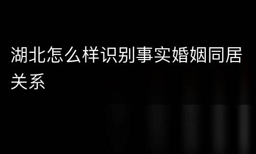 湖北怎么样识别事实婚姻同居关系