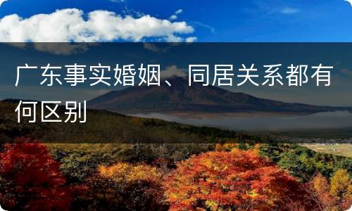 广东事实婚姻、同居关系都有何区别