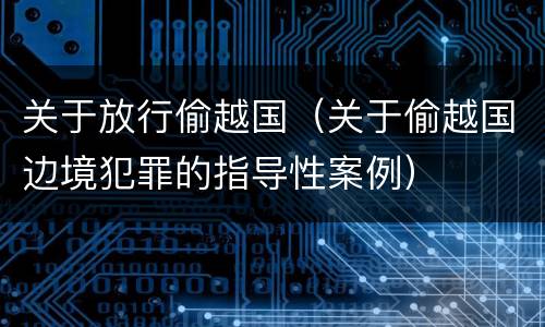 关于放行偷越国（关于偷越国边境犯罪的指导性案例）