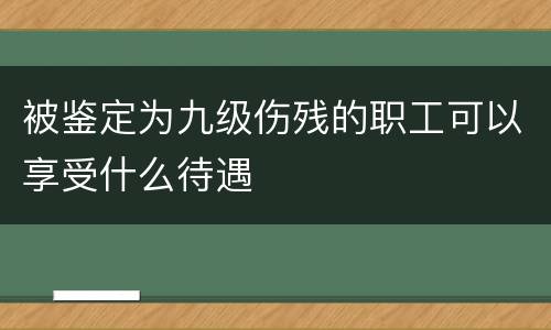 被鉴定为九级伤残的职工可以享受什么待遇