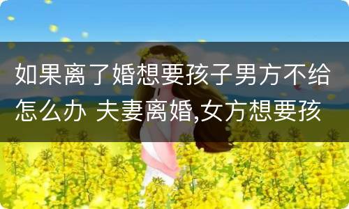 如果离了婚想要孩子男方不给怎么办 夫妻离婚,女方想要孩子,男方不给