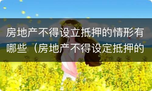 房地产不得设立抵押的情形有哪些（房地产不得设定抵押的情况有）