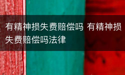 有精神损失费赔偿吗 有精神损失费赔偿吗法律