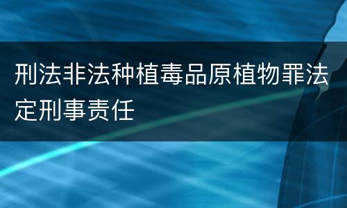 刑法非法种植毒品原植物罪法定刑事责任