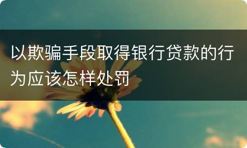 以欺骗手段取得银行贷款的行为应该怎样处罚