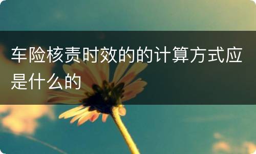 车险核责时效的的计算方式应是什么的