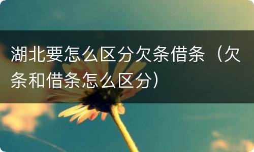 湖北要怎么区分欠条借条（欠条和借条怎么区分）