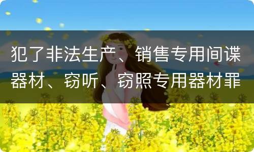 犯了非法生产、销售专用间谍器材、窃听、窃照专用器材罪既遂怎么处罚