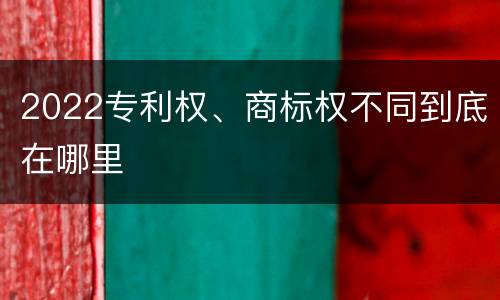 2022专利权、商标权不同到底在哪里