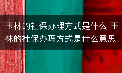 玉林的社保办理方式是什么 玉林的社保办理方式是什么意思