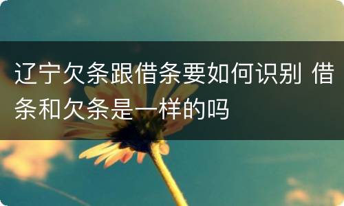 辽宁欠条跟借条要如何识别 借条和欠条是一样的吗