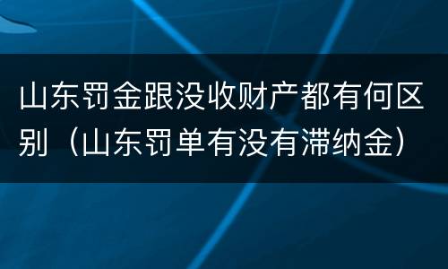 山东罚金跟没收财产都有何区别（山东罚单有没有滞纳金）