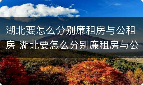 湖北要怎么分别廉租房与公租房 湖北要怎么分别廉租房与公租房的区别
