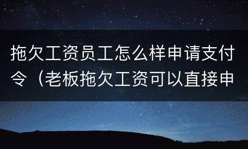 拖欠工资员工怎么样申请支付令（老板拖欠工资可以直接申请支付令吗）