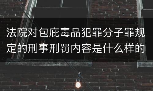法院对包庇毒品犯罪分子罪规定的刑事刑罚内容是什么样的